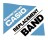 Bracelet de montre Casio p. MTA-1010D-1AV, acier inoxydable